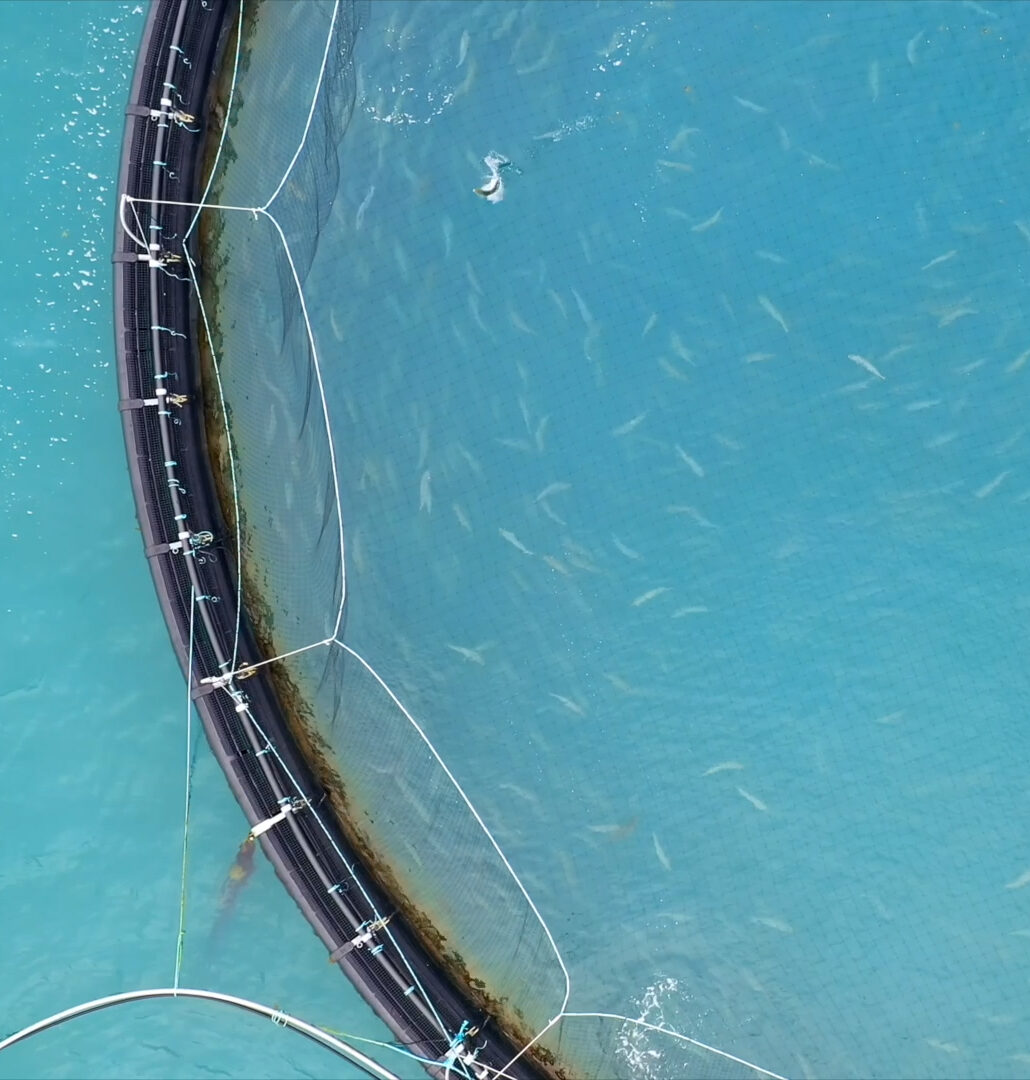 Ferme aquacole