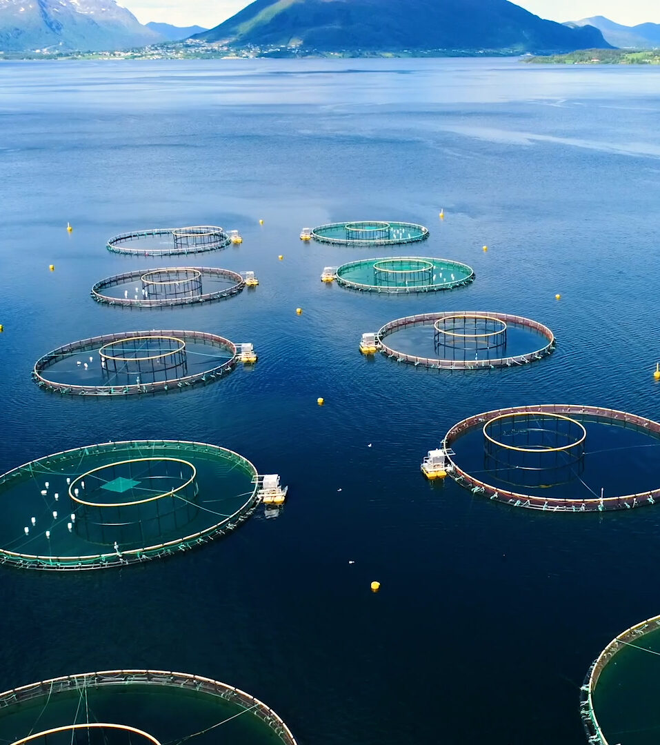 Ferme aquacole