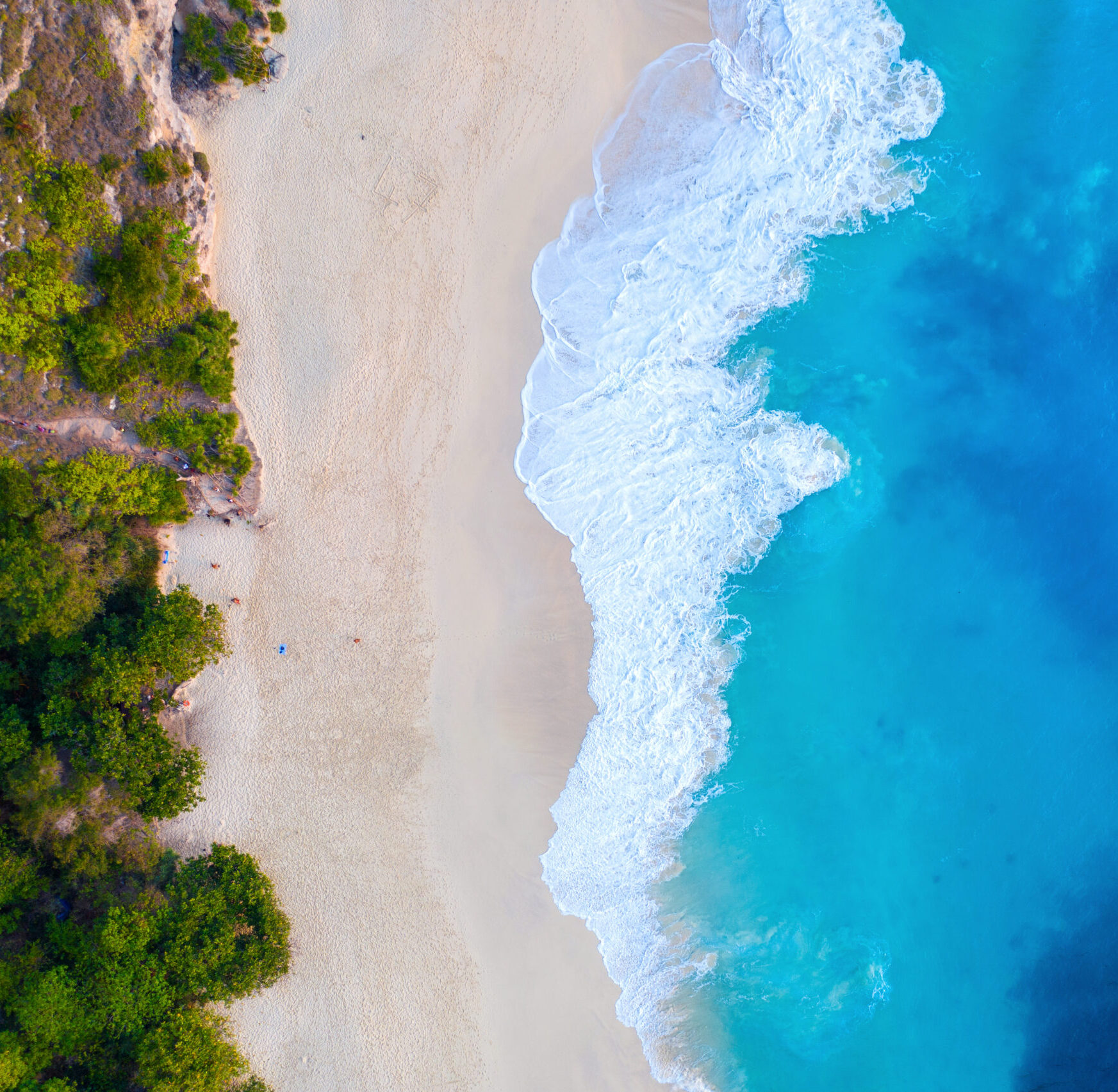 Plage et océan