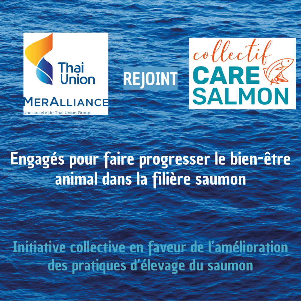 MerAlliance rejoint CARE Salmon